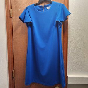 Calvin Klein shift dress